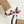 Load image into Gallery viewer, Pink Kente Men’s lace-up canvas shoes