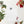 Load image into Gallery viewer, BɔKɔɔ DEɛ APRON