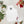 Load image into Gallery viewer, BɔKɔɔ DEɛ APRON